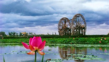 機(jī)不可失！銀川鳴翠湖國(guó)家濕地公園旺鋪火熱招商中！黃金位置，欲租從速！