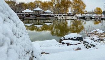 這是20年鳴翠湖遇見的，第一場雪。